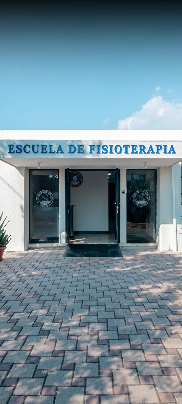 Escuela de Fisioterapia – Universidad Mariano Gálvez de Guatemala